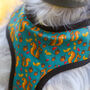 Squirrel Suprise Adjustable Dog Harness, thumbnail 6 of 12