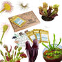 Grow Your Own Carnivorous Houseplant Indoor Garden, thumbnail 1 of 6