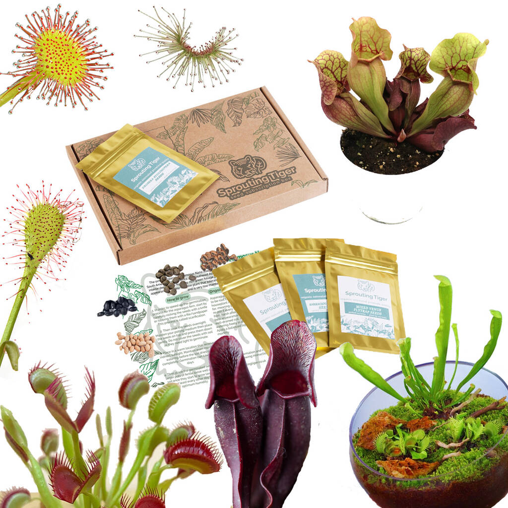 Grow Your Own Carnivorous Houseplant Indoor Garden, 1 of 6
