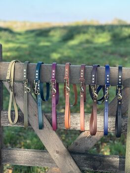 Biothane® Waterproof Dog Lead, 4 of 9