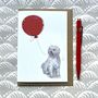 Spanish Water Dog Greetings Card, thumbnail 7 of 9
