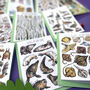 Wildlife Of Britain Greeting Cards Pack Volume Four, thumbnail 4 of 12