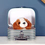 Mini King Charles Dog Soft Toy With Personalised Case, thumbnail 4 of 5