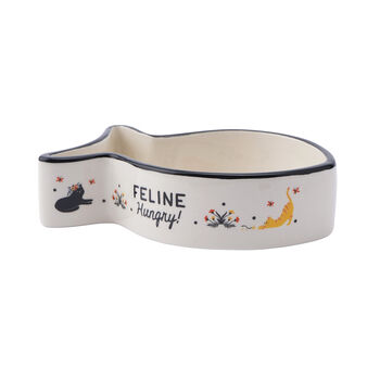 Fish Shaped Cat Bowl In Gift Box, 3 of 5