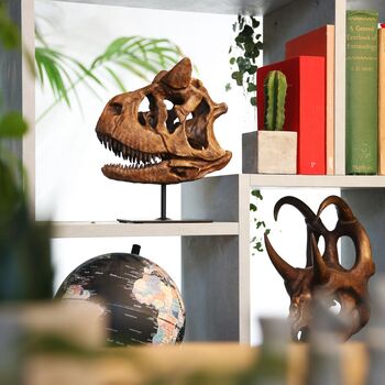 Carnotosaurus 3D Replica Dinosaur Skull, 2 of 5
