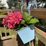 Pair Of Peaceful Pale Blue Hanging Balcony Planters, thumbnail 4 of 6