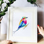 Lilac Breasted Roller Bird Print, thumbnail 1 of 4