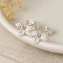 Sterling Silver And Rose Gold Holly December Birth Flower Earrings, thumbnail 3 of 6