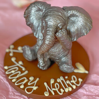 Nellie The Chocolate Elephant, 3 of 8