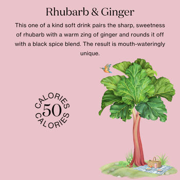 Rhubarb And Ginger 12x250ml, 2 of 6