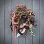 Dried Moss Wreath With Mushroom Amaranthus, thumbnail 1 of 4