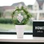 Love Hedera Ivy Hoop In White Pot – Evergreen Gift Plant, thumbnail 1 of 2