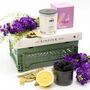 Bay Tree + Blackberry Luxury Scented Candle, thumbnail 2 of 7