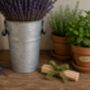 Herb Garden Gift Set, thumbnail 8 of 8