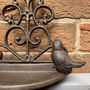 Venus And Conwy Cast Iron Wall Feeder Double Pack, thumbnail 5 of 6