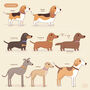 Personalised Pet Illustration, thumbnail 4 of 6