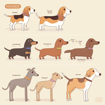 Personalised Pet Illustration, 4 of 6