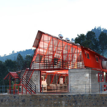 Dark Tea Seasonal Loose Leaf Tea Edit, 10 of 10