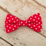 The York Red And White Spotted Dog Bow Tie And Lead Set, thumbnail 5 of 6