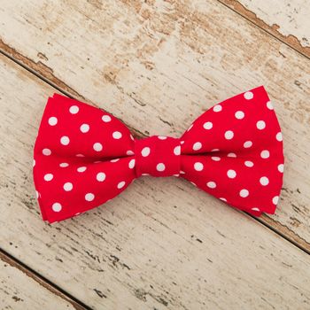The York Red And White Spotted Dog Bow Tie And Lead Set, 5 of 6