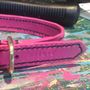 Personalised Leather Dog Collar With Stitching, thumbnail 3 of 12