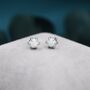 White Opal Long Prong Stud Earrings Sterling Silver, thumbnail 1 of 11