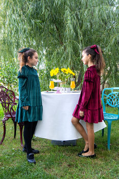 Chiara Girls Velvet Dress With Matching Hair Clip, 3 of 4