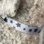 Grey Star Dog Collar For Girl Or Boy Dogs, thumbnail 2 of 4