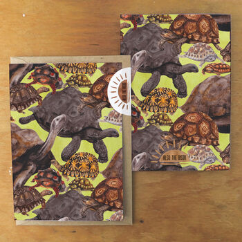 Creep Of Tortoises Greetings Card, 3 of 7