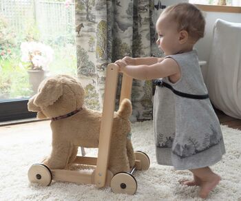 Labrador Ride On And Push Along Baby Walker, 5 of 5