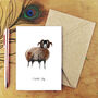 Flock Swaledale Sheep Greetings Card, thumbnail 1 of 7