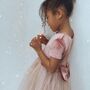 Pink Velvet Soft Tulle Dress, thumbnail 1 of 10