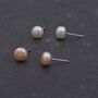 Real Fresh Water Pearl Stud Earrings In Sterling Silver, thumbnail 3 of 8