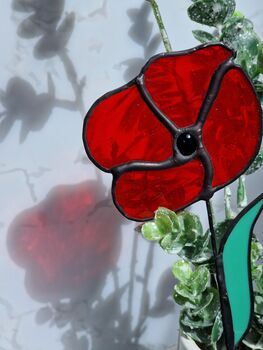 Red Poppy Everlasting Stained Glass Flowers, 2 of 7