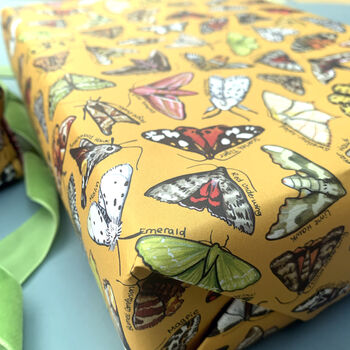 Moth Species Wrapping Paper Set, 11 of 11