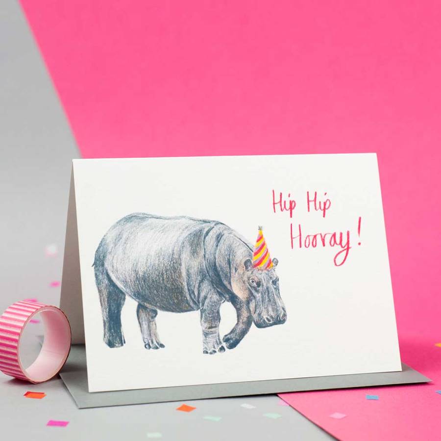 Hip Hip Hooray Illustrated Hippo Birthday Card By Jenny Jackson Illustration 0872