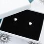 Sterling Silver Sea Shell Stud Earrings, thumbnail 1 of 2