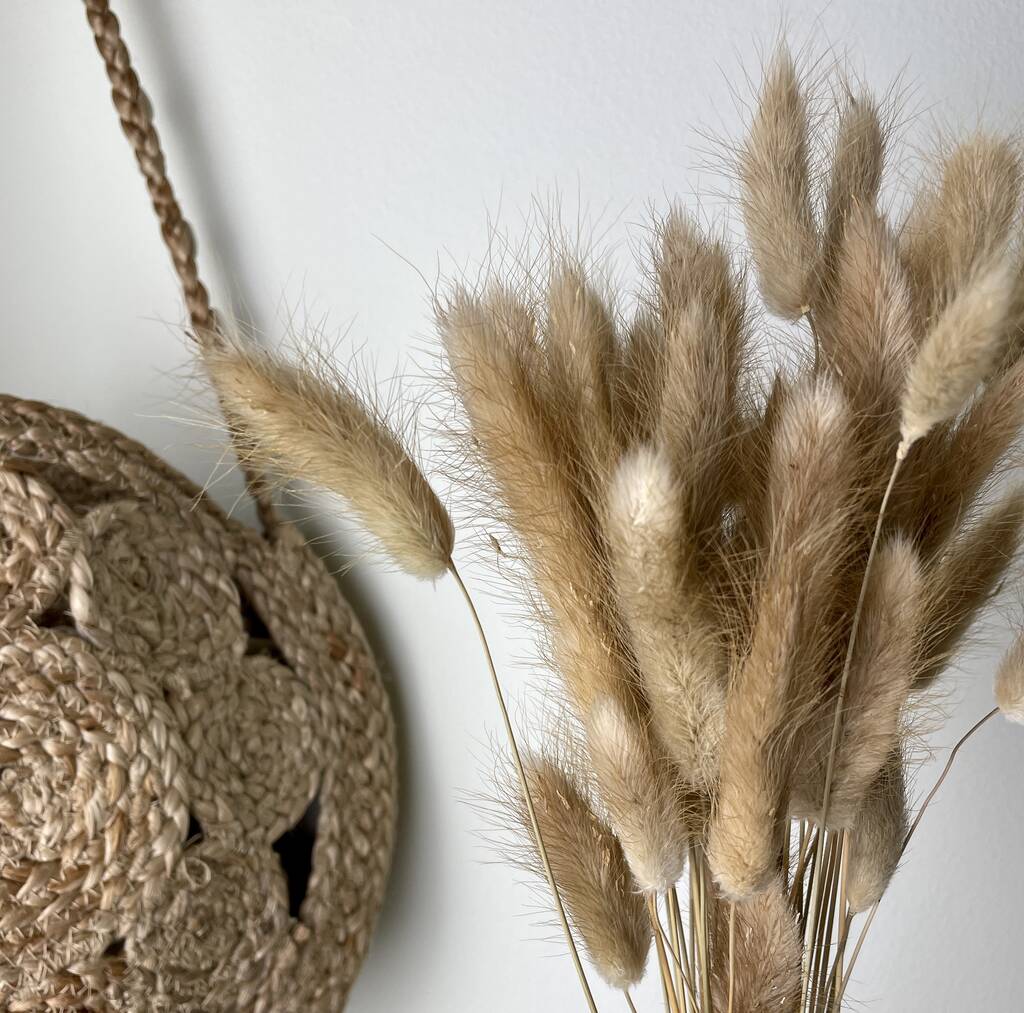 Dried Bunny Tails Natural Lagurus Bunch By Ev Home