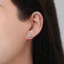 Mismatched Stegosaurus And Triceratops Dinosaur Stud Earrings In Sterling Silver, thumbnail 2 of 12