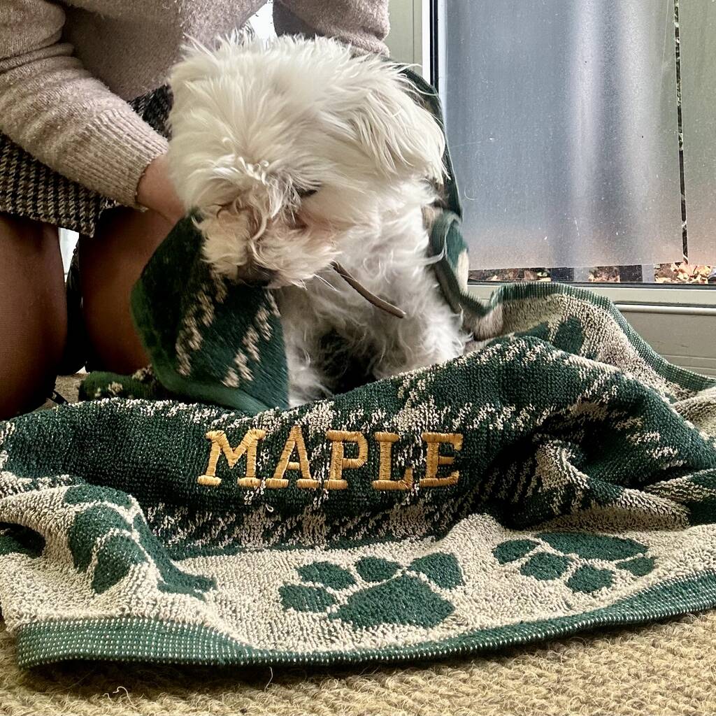 Personalised Jumbo Dog Towel, 1 of 4