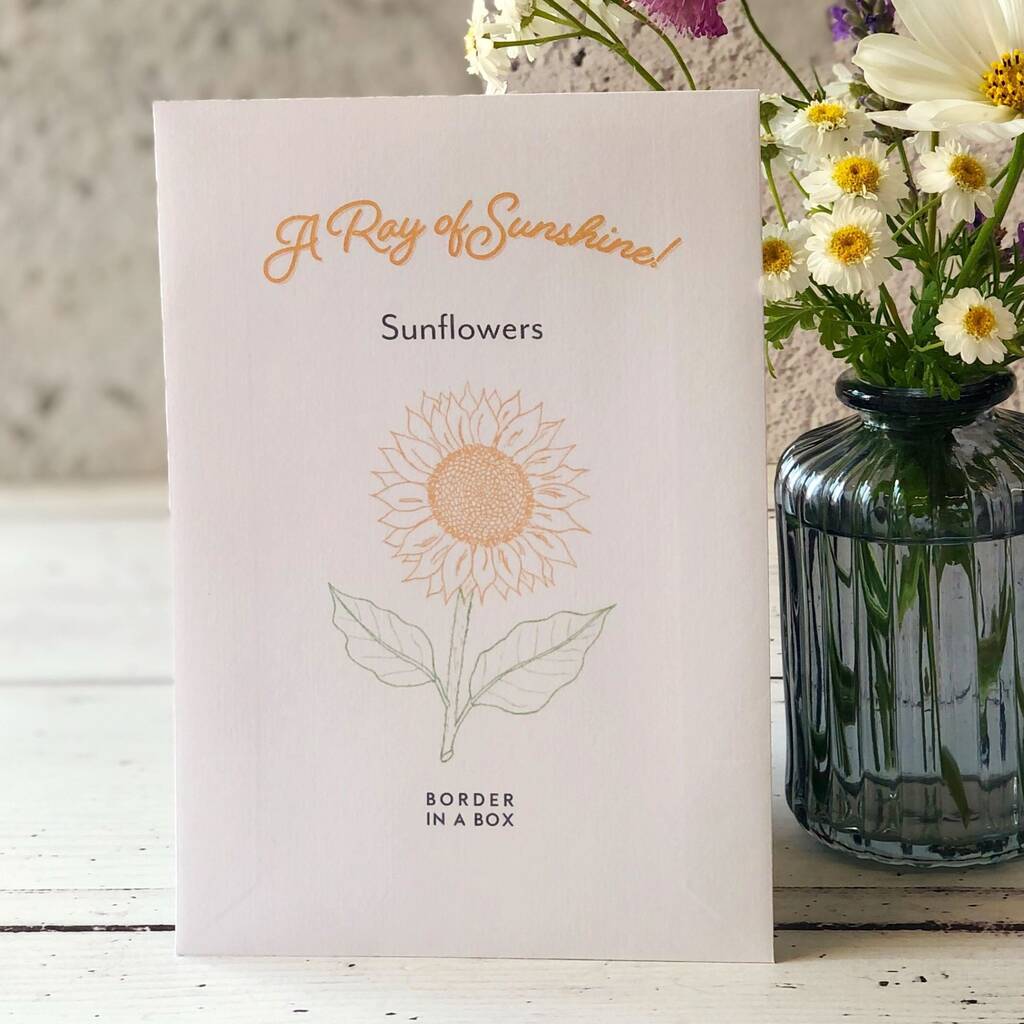 Ray Of Sunshine Sunflower Gift Set By Border in a Box