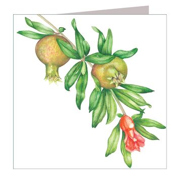 Young Pomegranates Greetings Card, 2 of 5