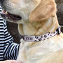 Leopard Print Personalised Dog Collar, thumbnail 1 of 3