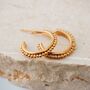 Diba Hoop Earrings, thumbnail 1 of 7