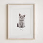 Christmas Gift For Pet Lovers – Personalised Pet Portrait Hand Drawn From Photo, Dog, Cat Or Horse Illustration, thumbnail 4 of 11