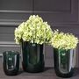 Glass Orchid Plant Pot Wide By Dut Z, thumbnail 3 of 7