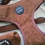 Coffee Bean Brown Cord Puppy Dog Harness Xs L, thumbnail 4 of 11