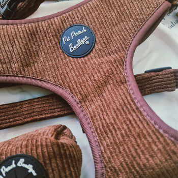 Coffee Bean Brown Cord Puppy Dog Harness Xs L, 4 of 11