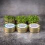 Organic Microgreen Tin Set Growing Kit | Immunity, thumbnail 2 of 2