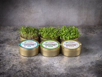 Organic Microgreen Tin Set Growing Kit | Immunity, 2 of 2